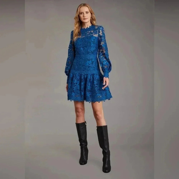 HAUTE  HIPPIE LACE DRESS SIZE 2 OR XS NWT - Picture 1 of 10